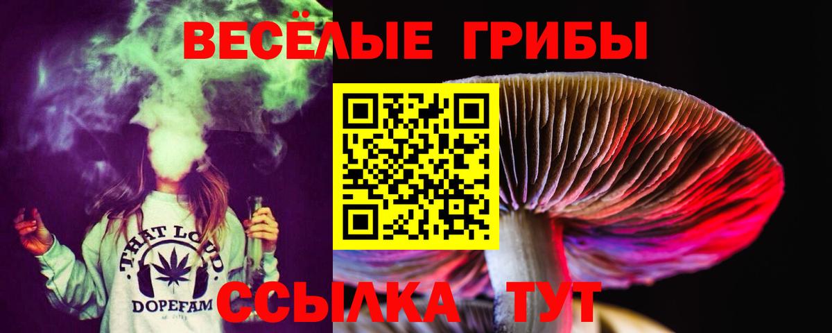 дарнет шоп  Галлюциногенные грибы MAGIC MUSHROOMS  Курчалой  Вход с VPN  Псилоцибиновые грибы Magic Shrooms 